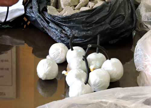 truy bắt các đối tượng đánh bắt hải sản trái phép