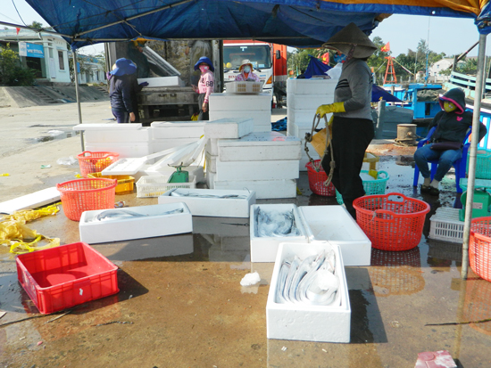 thuong lai mua hai san