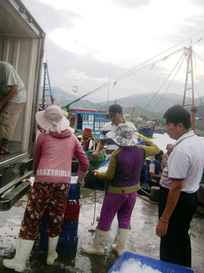 thương lái trung quốc mua hang thủy sản