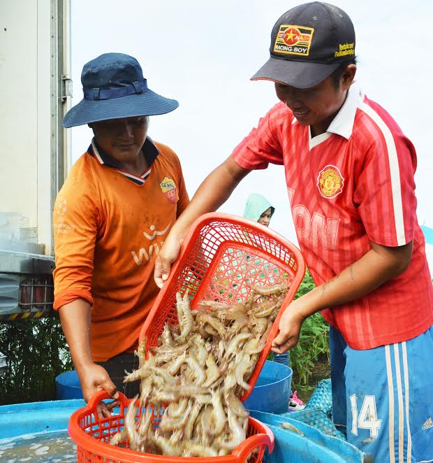 Ngăn thương lái Trung Quốc mua bán không hợp pháp ở Việt Nam