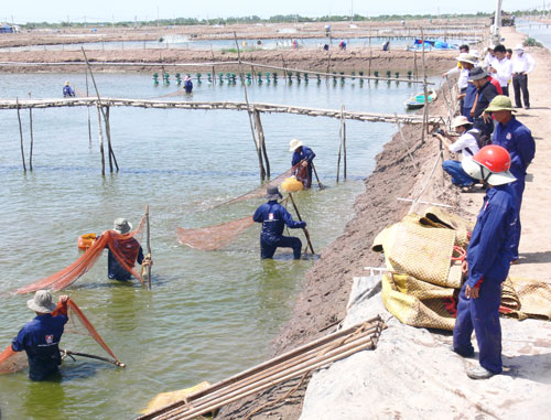 thủy sản Bến Tre