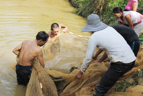 thủy sản Hạ Hòa