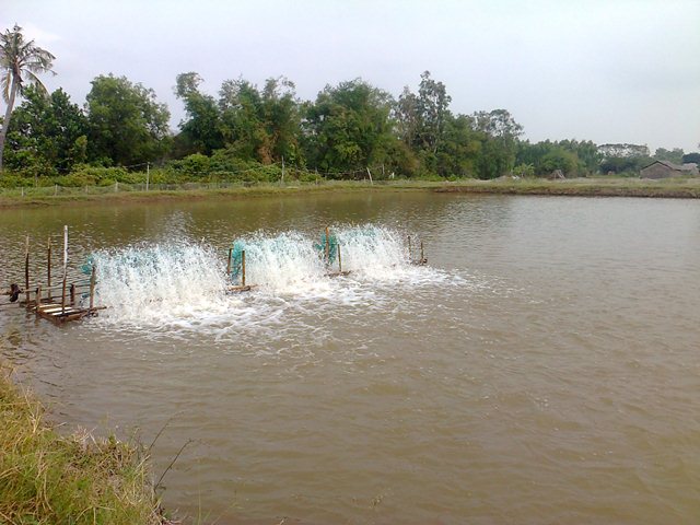 thủy sản Long An