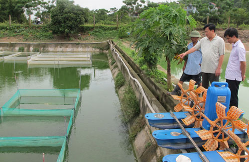 thủy sản Nam Sơn