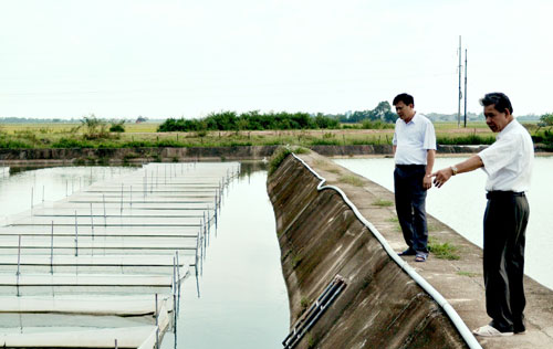 thủy sản Nam Sơn