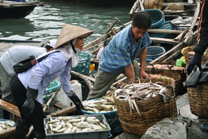 thủy sản bạc liêu