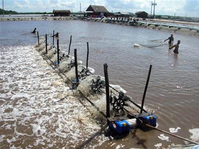 thủy sản bền vững