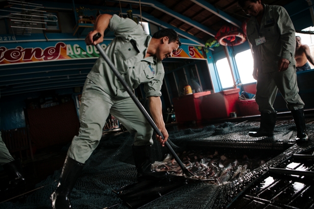 thủy sản bền vững