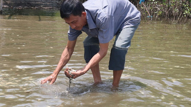 Kiên Giang: Xuất hiện tảo lam ở vùng biển Kiên Lương