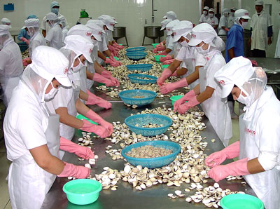 Cơ cấu lại nguồn vốn dài hạn là giải pháp để phát triển bền vững ngành thủy sản hiện nay.