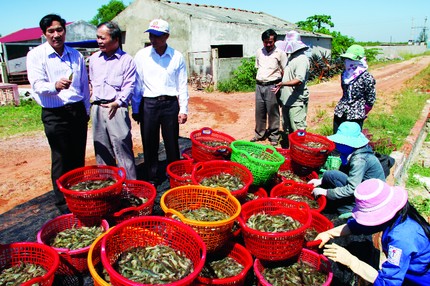 Hội Nghề cá Việt Nam: Đồng lòng đổi mới