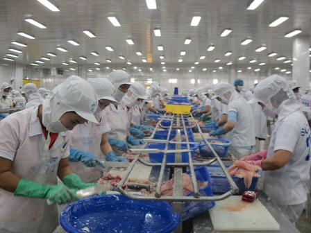 tiềm năng cá tra