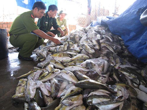 tiêu hủy hải sản