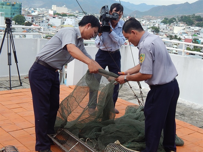 Tăng cường công tác thanh tra trong lĩnh vực nông nghiệp