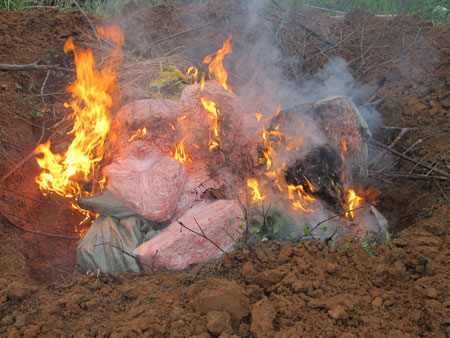 tiêu hủy mực khô