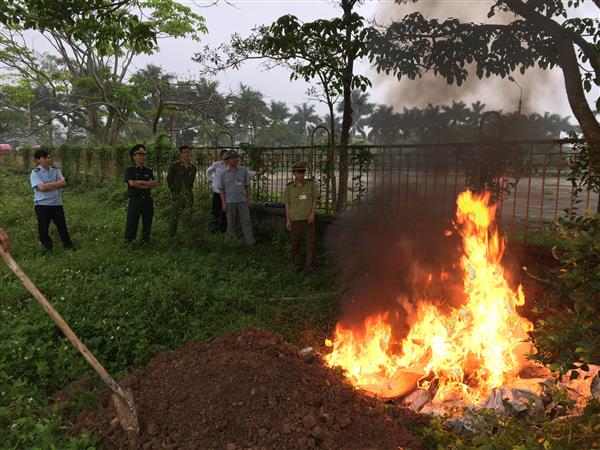 tiêu hủy sò lông