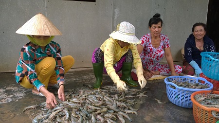 tín hiệu vui mùa tôm