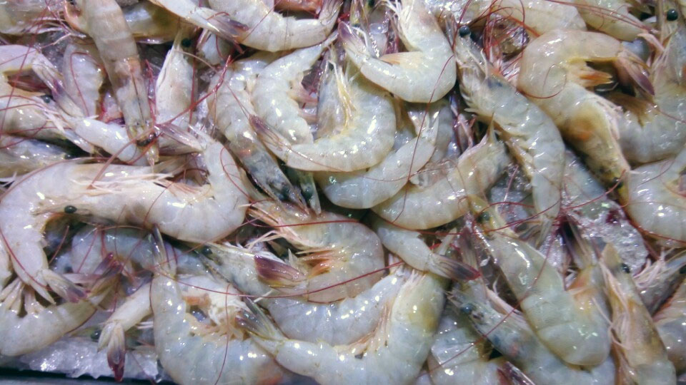 Những thay đổi trong quy định nhập khẩu thủy sản tại một số thị trường