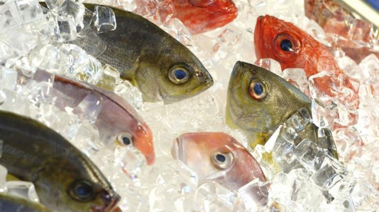 Tin vắn thị trường thủy sản ngày 20/12