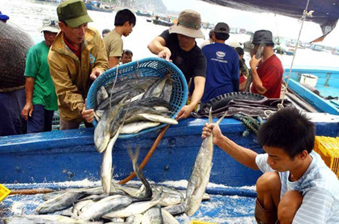 tín dụng thủy sản