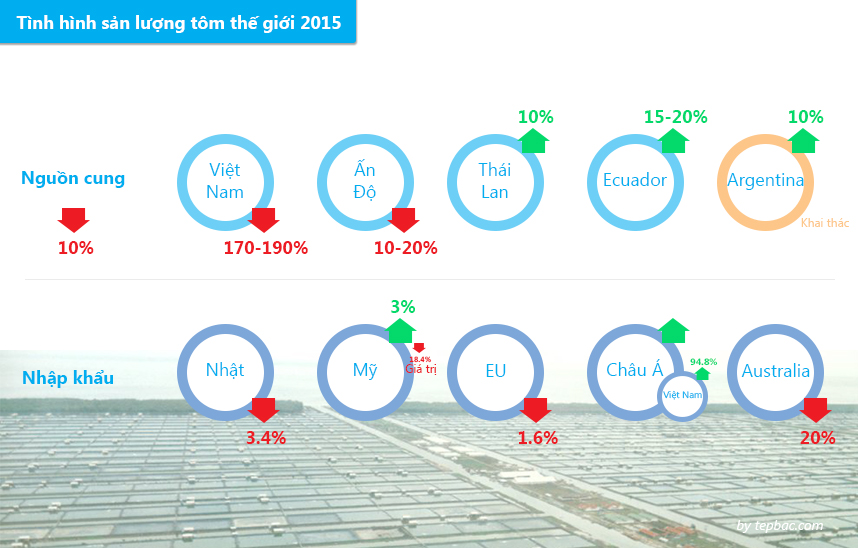 tình hình sản lượng tôm 2015