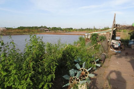 Ấp 15, xã Vĩnh Hậu A, huyện Hòa Bình (Bạc Liêu), một thời được gọi là ấp tỉ phú, nay các hồ tôm vắng lặng. Ảnh: H.V.M