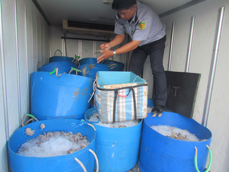 tôm chứa tạp chất