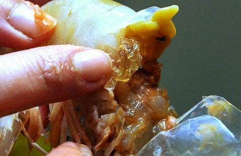 Tôm bơm tạp chất - Ảnh: tepbac.com