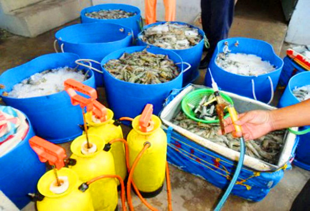 An toàn thực phẩm