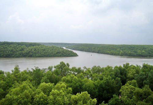 khu dự trử cần giờ