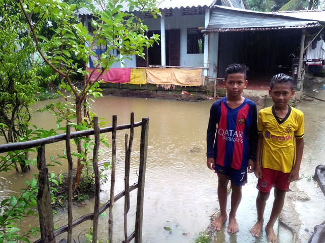 tôm chết, nuôi tôm trong mùa mưa, tôm chết do mưa