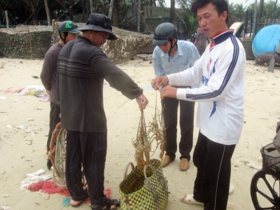 Người dân bán đổ bán tháo tôm hùm bệnh với giá rẻ