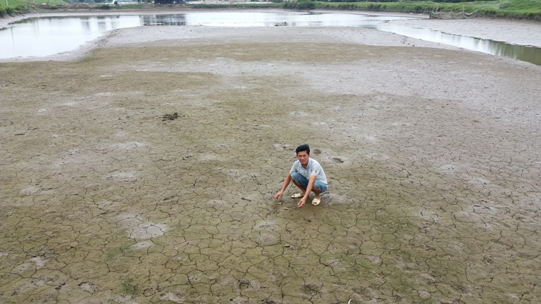 Thanh Hóa: Dân lao đao vì tôm nuôi trong đầm chết hàng loạt