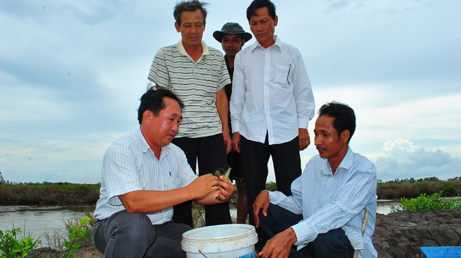 kiểm tra tôm bệnh cà mau