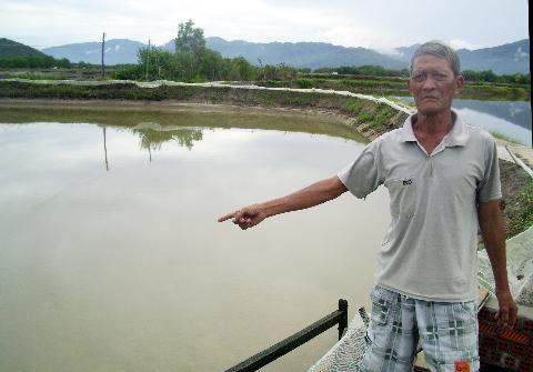 tôm chết