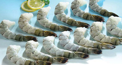 Mazzetta, nhập khẩu tôm, SSA