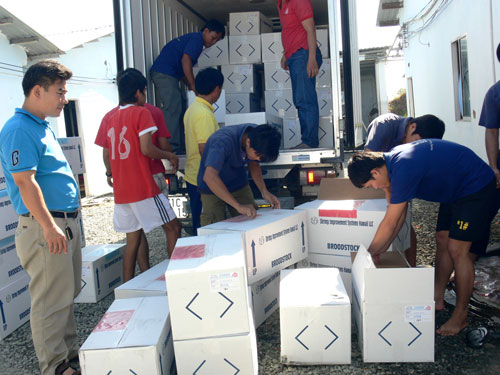 Nhập tôm giống về Trung tâm sản xuất giống của Công ty Huy Thuận (xã Thừa Đức - Bình Đại).