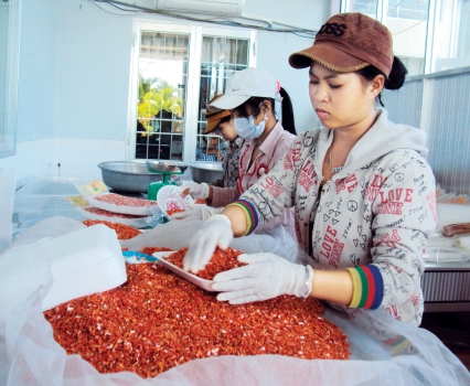 đắc sản tôm khô rạch gốc