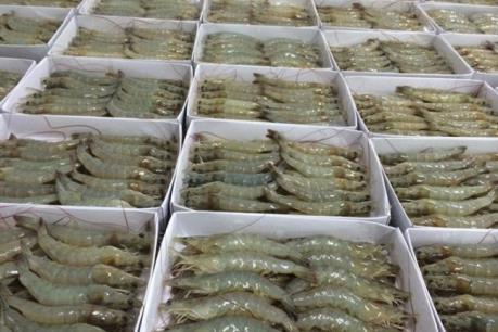 Châu Á: Thị trường tiềm năng cho sản phẩm tôm Việt
