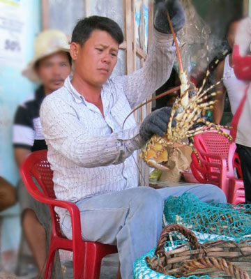 tôm hùm