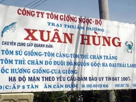 Rao bán tôm thẻ chân đỏ trên bảng hiệu