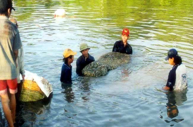 Nguyên liệu là một trong những căn "bệnh" nan giải của ngành thủy sản. Ảnh: TL