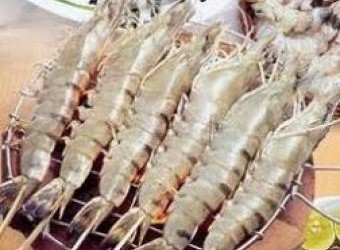 Ước tính xuất khẩu thủy sản tháng 2/2013 giảm 24%