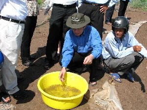 Trao tôm giống cho nông dân. (Ảnh: Huỳnh Sử/TTXVN)