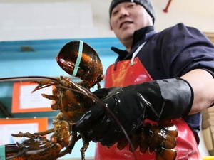 kim ngạch xuất khẩu thủy sản canada đạt kỉ lục năm 2012