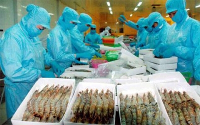 Tôm vẫn là một trong những mặt hàng xuất khẩu chủ lực của thủy sản Việt Nam.