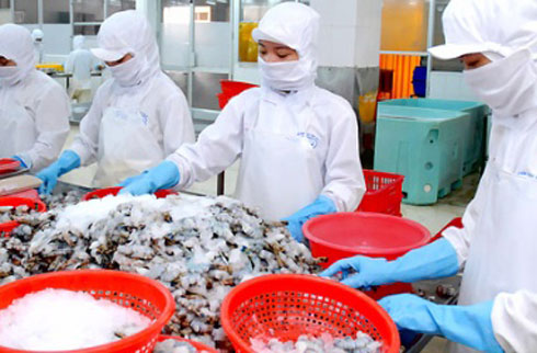 tôm việt nam bị kiện