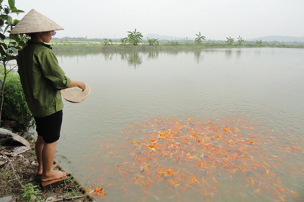 Ảnh minh họa (Nguồn: Internet)