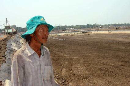 Bà Rịa - Vũng Tàu: Tôm chết hàng loạt chưa rõ nguyên nhân