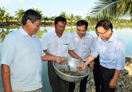 Luân canh tôm - lúa: Lợi bội phần